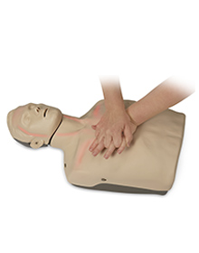 Brayden CPR Manikin